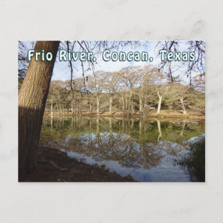 Rio Frio River Concan Texas Garner Staat Park Tree Postkarte