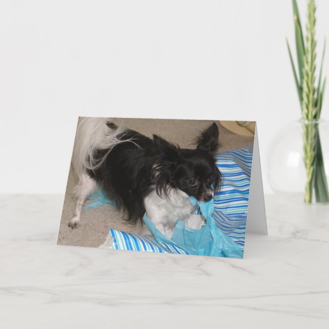 Rip die Geschenke auf! Karte (Vorderseite)