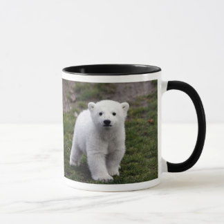 RIP KNUT TASSE