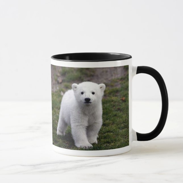 RIP KNUT TASSE (Rechts)