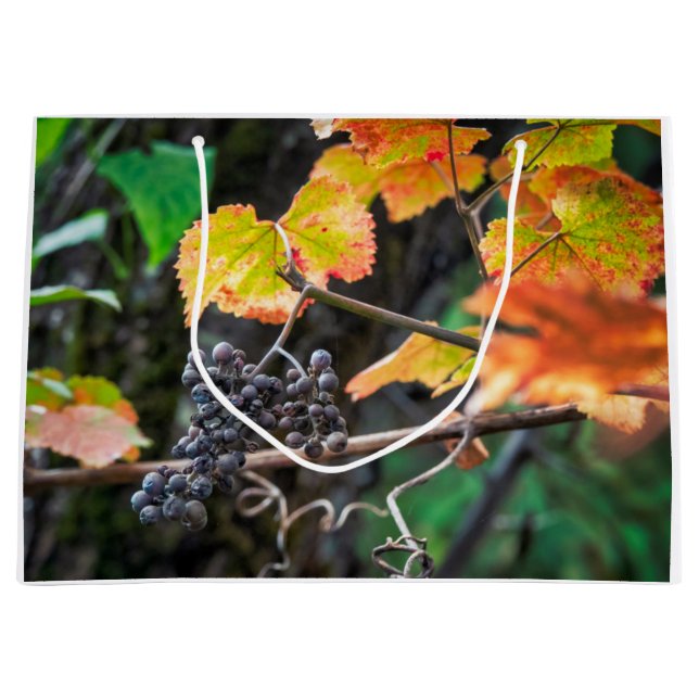 Ripe Isabella Traube Große Geschenktüte (Vorderseite)