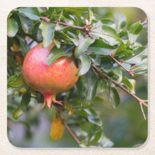 Ripe Pomegranat auf dem grünen Shrub Rechteckiger Pappuntersetzer