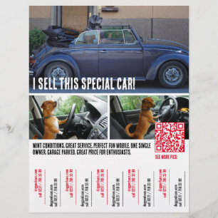 Ripp of Tears Auto-Verkaufsflyer Flyer