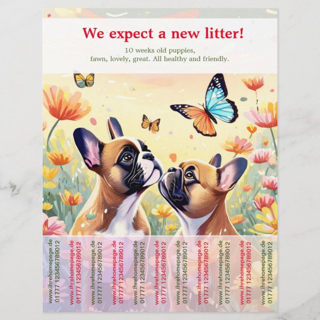 Ripp-Off French Bulldog Welppies Flyer (Vorne)