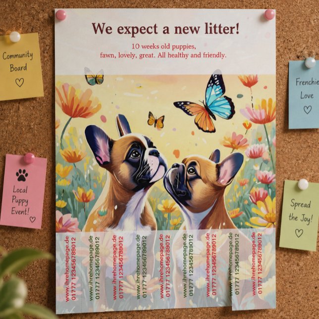 Ripp-Off French Bulldog Welppies Flyer (Von Creator hochgeladen)
