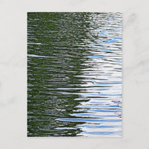 Rippchenwasser Postkarte