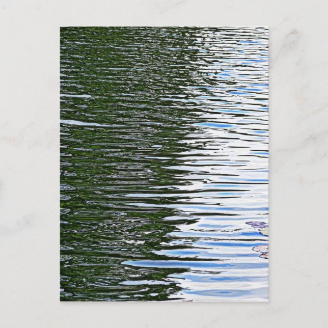 Rippchenwasser Postkarte (Vorderseite)