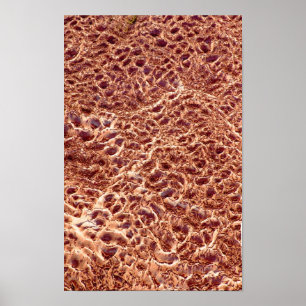 Rippeln auf Sand-Bar Poster