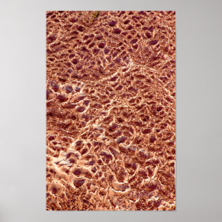 Rippeln auf Sand-Bar Poster