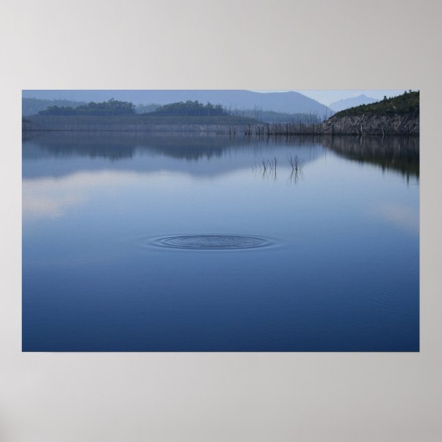 Rippeln in Wasser - Poster (Vorne)