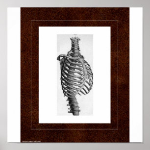 Rippen-Geist-Haus Poster