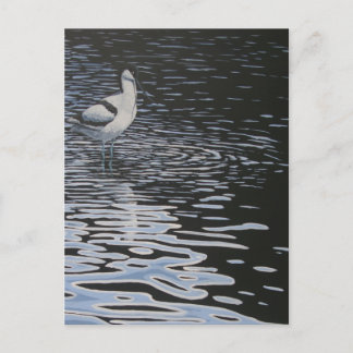 Ripples und ein Avocet dagegen Postkarte