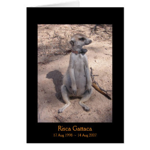 Risca Legenden-Karte