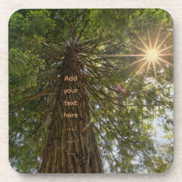 RISE Inspirationelles Foto eines Baumes zum Himmel Getränkeuntersetzer