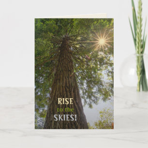 RISE Inspirationelles Foto eines Baumes zum Himmel Karte