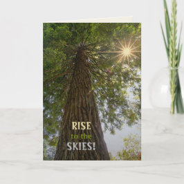 RISE Inspirationelles Foto eines Baumes zum Himmel Karte