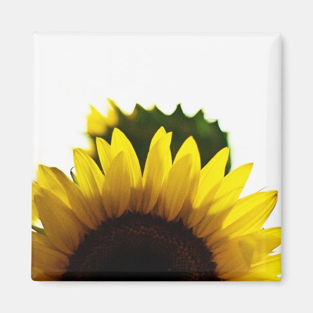 Rise & Magnet (Vorne)