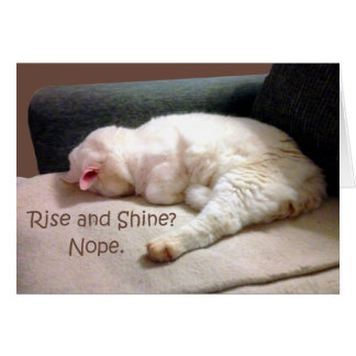 Rise und Shine? Nein.