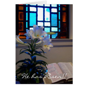 RISEN Oaster Lily