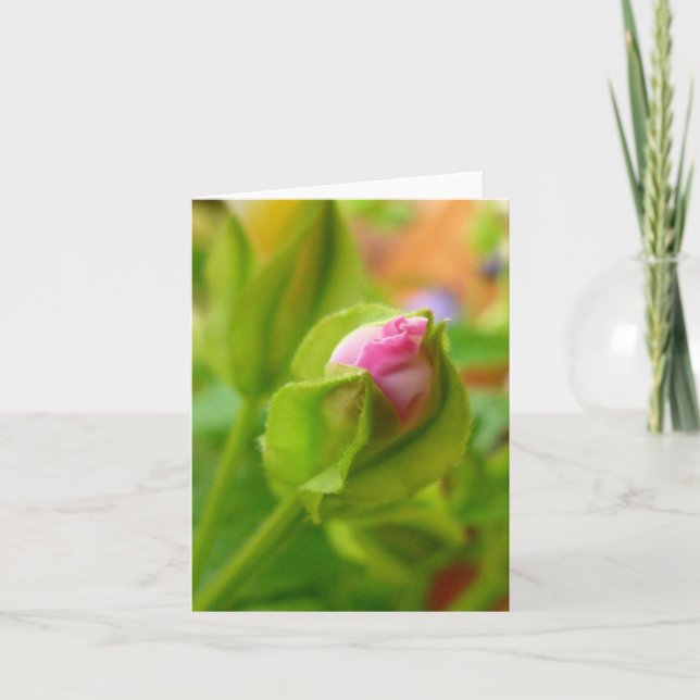 Risiko zur Blüte Karte (Vorderseite)