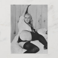 Riskiertes Vintages Dessous-Modell