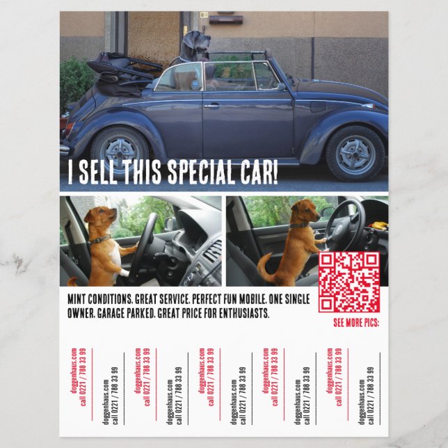 Riss des Tears Car Selling Flyer (Vorne)