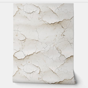 Risse gestrichelte, texturierte Wand