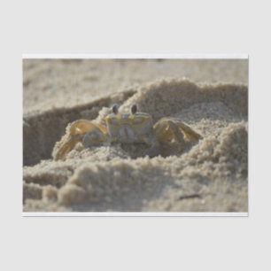 Risse im Sandstreupapier Seidenpapier