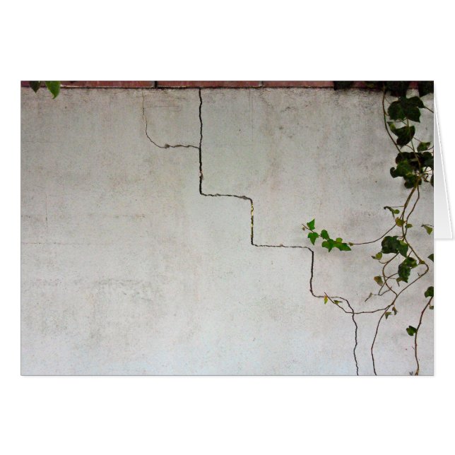 Risse mit Wein (Vorderseite (Horizontal))