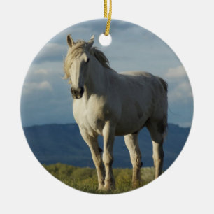 Ritter von Träumen Keramik Ornament