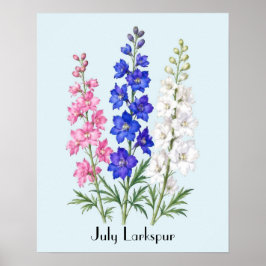 Ritterspornblumen im Juli Poster