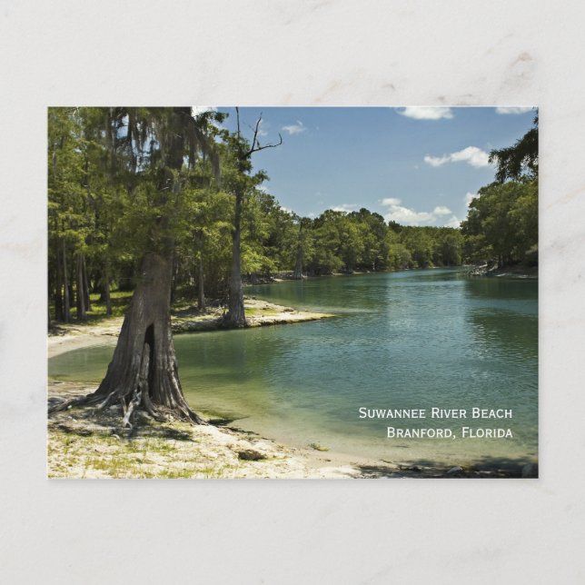 River Beach Postcard Postkarte (Vorderseite)
