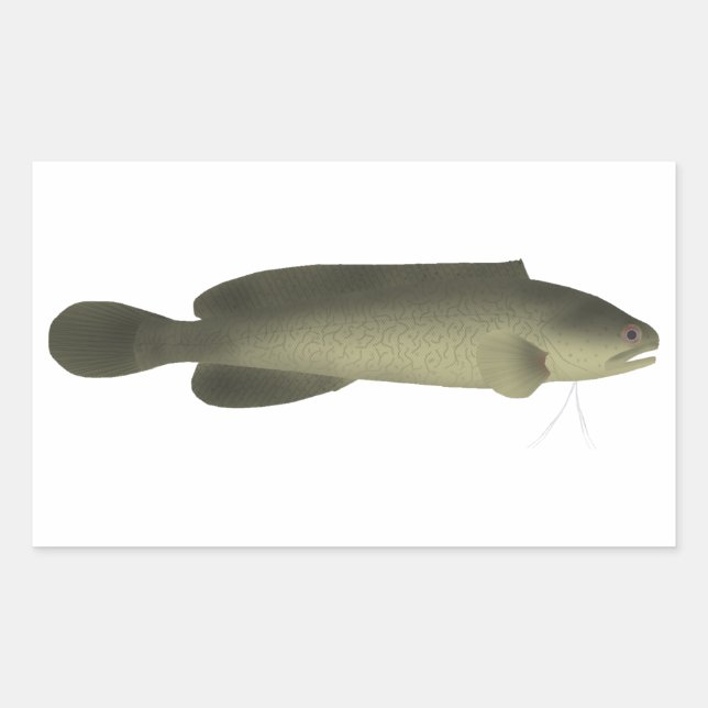 River Blackfish Print, Value Poster Paper (Matte) Rechteckiger Aufkleber (Vorderseite)