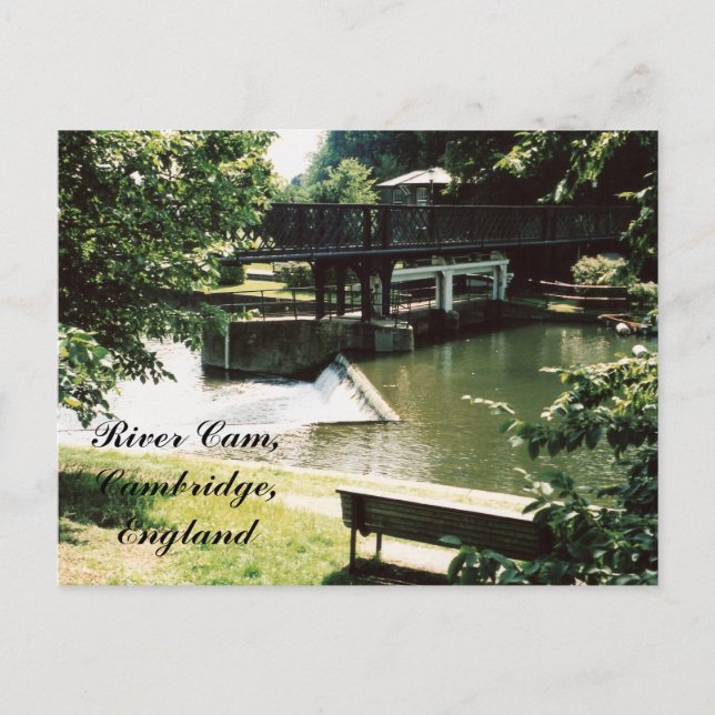 River Cam, Cambridge Postkarte (Vorderseite)