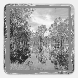 River Murray Schwarz-weiß Foto Gum Treflection Quadratischer Aufkleber