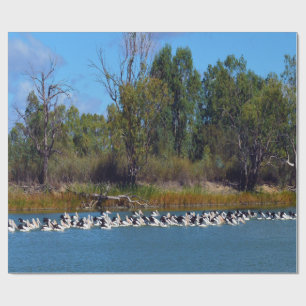 "River Murray's Fishermen: A Pelican Ansammlung" Geschenkpapier