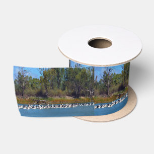"River Murray's Fishermen: A Pelican Ansammlung" Satinband