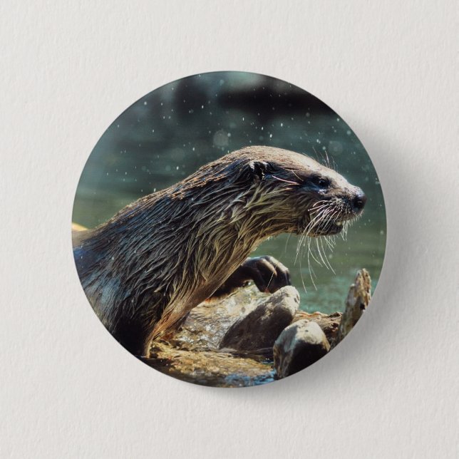 River Otter Animal-Lover's Wildlife Foto Button (Vorderseite)