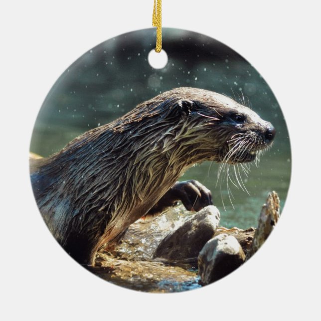 River Otter Animal-Lover's Wildlife Foto Keramik Ornament (Hinten)
