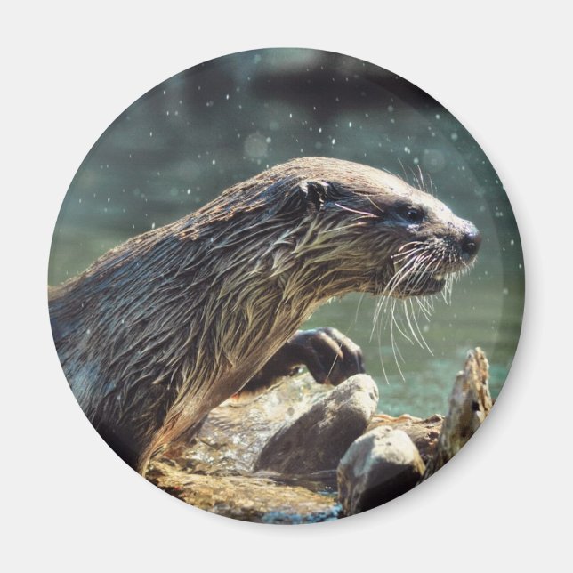 River Otter Animal-Lover's Wildlife Foto Magnet (Vorne)