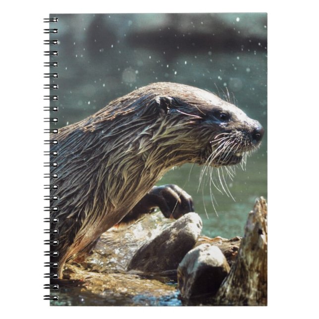 River Otter Animal-Lover's Wildlife Foto Notizblock (Vorderseite)