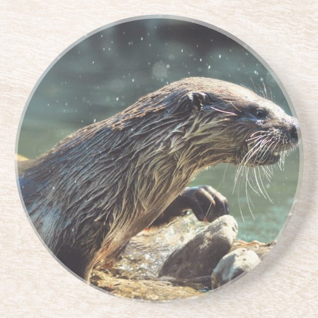 River Otter Animal-Lover's Wildlife Foto Sandstein Untersetzer (Vorne)
