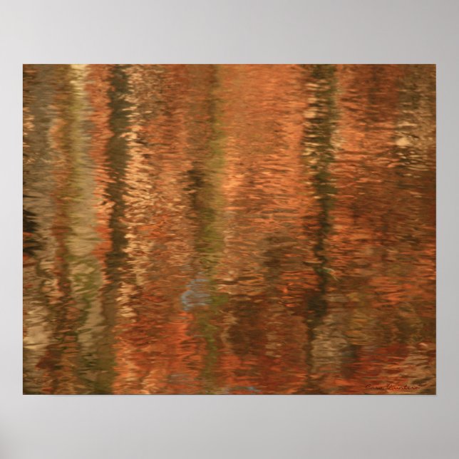 River Reflections 2 Poster (Vorne)