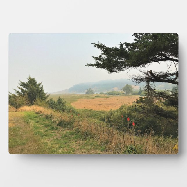 River Trail am Cape Blanco, Oregon Coast Fotoplatte (Vorderseite)