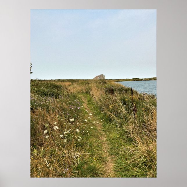 River Trail am Cape Blanco, Oregon Coast Poster (Vorne)