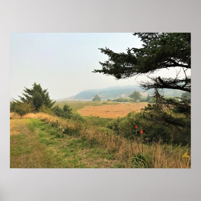 River Trail am Cape Blanco, Oregon Coast Poster (Vorne)