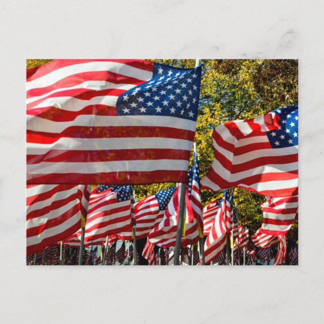 Riverdale, New York, USA. Weinland Postkarte (Vorderseite)