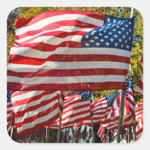 Riverdale, New York, USA. Weinland Quadratischer Aufkleber