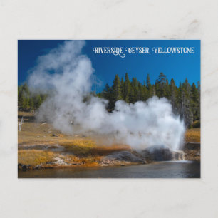 Riverside Geyser Eruption Yellowstone Postkarte