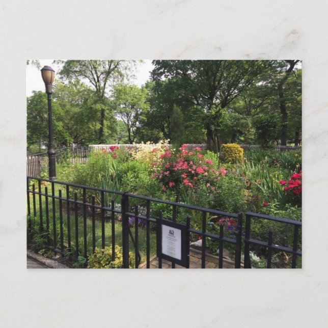 Riverside Park Garden New York City NYC Postcard Postkarte (Vorderseite)